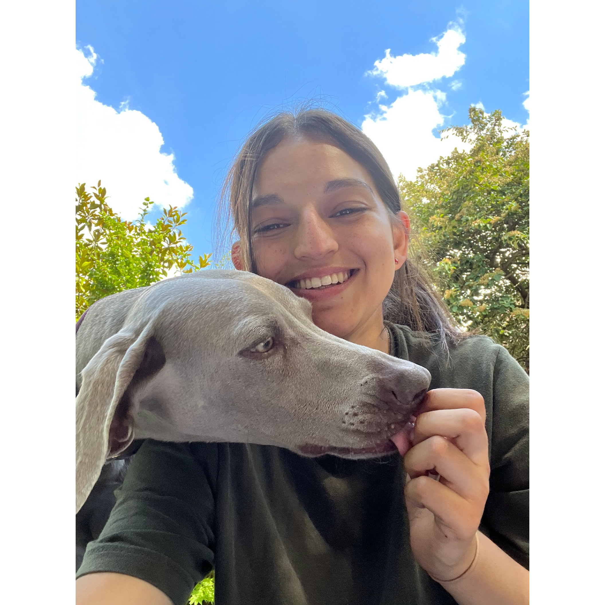 Dog Training Session 1