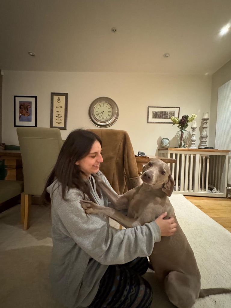 Dog Training Session 2