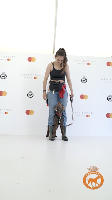 Dog Training Session